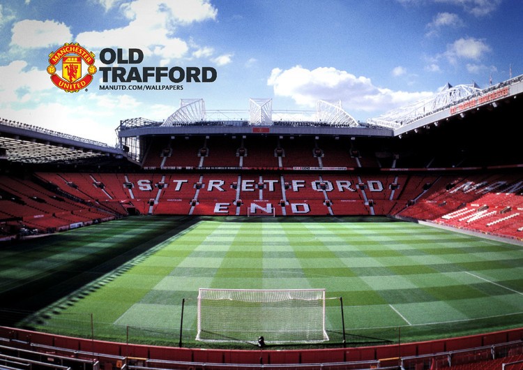 球球迷的目 球球迷的目